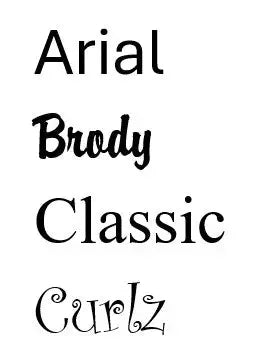 Popular embroidery font styles including Arial, Brody, Classic, and Curlz displayed
